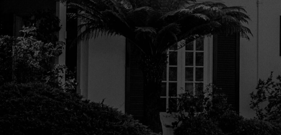 Susret s Delijom Grigore – Romska književnost kao glas slobode i identiteta