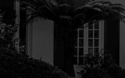 Susret s Delijom Grigore – Romska književnost kao glas slobode i identiteta